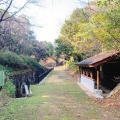 実際訪問したユーザーが直接撮影して投稿した西海町横瀬郷公園石原岳森林公園の写真