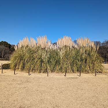 神代植物公園 芝生広場のundefinedに実際訪問訪問したユーザーunknownさんが新しく投稿した新着口コミの写真