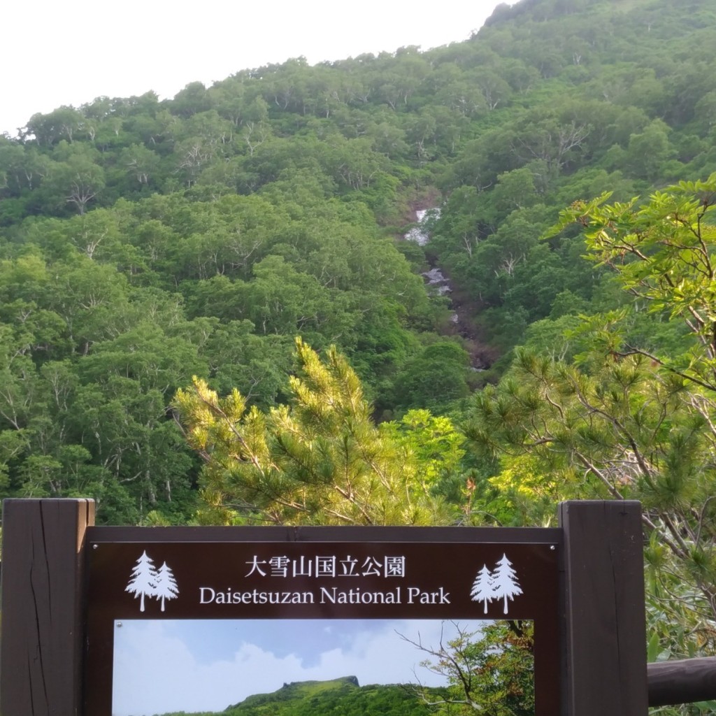 実際訪問したユーザーが直接撮影して投稿した層雲峡公園大雪山国立公園の写真