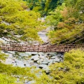 実際訪問したユーザーが直接撮影して投稿した西祖谷山村善徳橋祖谷のかずら橋の写真