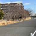 実際訪問したユーザーが直接撮影して投稿した北新横浜公園北新横浜公園の写真