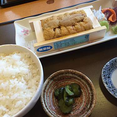 実際訪問したユーザーが直接撮影して投稿した大手町魚介 / 海鮮料理うに むらかみ 函館本店の写真