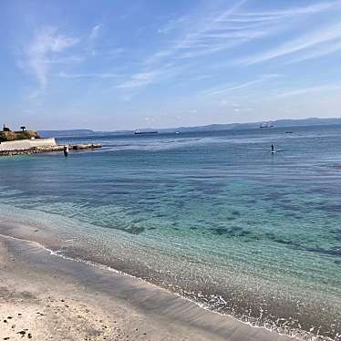 実際訪問したユーザーが直接撮影して投稿した鴨居公園たたら浜園地の写真