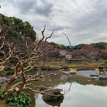 実際訪問したユーザーが直接撮影して投稿した千代田庭園二の丸庭園の写真