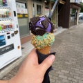 実際訪問したユーザーが直接撮影して投稿した大供アイスクリームCRAZYICE‐CREAMの写真