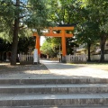 実際訪問したユーザーが直接撮影して投稿した旗の台神社旗岡八幡神社の写真