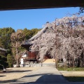 実際訪問したユーザーが直接撮影して投稿した桝塚東町寺行福寺の写真