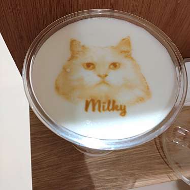 Cat Cafe MOFF 天王寺ミオ店のundefinedに実際訪問訪問したユーザーunknownさんが新しく投稿した新着口コミの写真