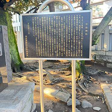 実際訪問したユーザーが直接撮影して投稿した千住宮元町神社千住神社の写真