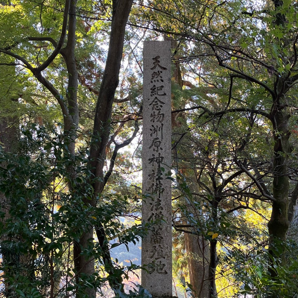 実際訪問したユーザーが直接撮影して投稿した須原地域名所天然記念物洲原神社仏法僧蕃殖地の写真