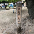 実際訪問したユーザーが直接撮影して投稿した東雲公園東雲第一公園の写真