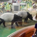 実際訪問したユーザーが直接撮影して投稿した程久保動物園多摩動物公園の写真