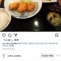 ヒレかつ定食 - 実際訪問したユーザーが直接撮影して投稿した別府とんかつ味工房みそのの写真のメニュー情報