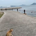 実際訪問したユーザーが直接撮影して投稿した男木町島男木島の写真