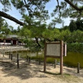 実際訪問したユーザーが直接撮影して投稿した雑司町湖沼 / 池東大寺鏡池の写真