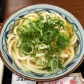 かけ - 実際訪問したユーザーが直接撮影して投稿した持子うどん丸亀製麺 西神戸店の写真のメニュー情報