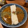 2種盛りカレー - 実際訪問したユーザーが直接撮影して投稿した虎ノ門カレー麻布十番 薬膳カレー 新海 虎ノ門店の写真のメニュー情報