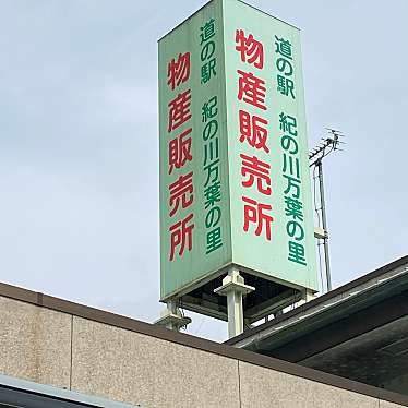 実際訪問したユーザーが直接撮影して投稿した窪公園紀の川万葉の里公園の写真