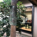 実際訪問したユーザーが直接撮影して投稿した新石川そば蕎麦匠 源の写真