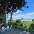 実際訪問したユーザーが直接撮影して投稿した大豆神社春日山神社の写真