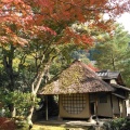 実際訪問したユーザーが直接撮影して投稿した桝屋町寺高台寺の写真