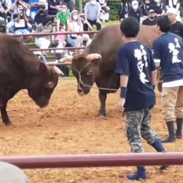 実際訪問したユーザーが直接撮影して投稿した公園久慈平庭県立自然公園の写真