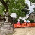 実際訪問したユーザーが直接撮影して投稿した吉祥院政所町神社吉祥院天満宮の写真