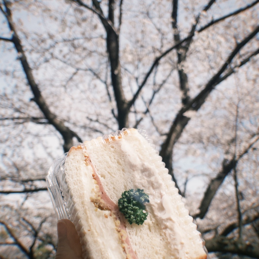 ユーザーが投稿したツナサラダ&ハムとクリームチーズの写真 - 実際訪問したユーザーが直接撮影して投稿した神大寺ベーカリール・ミトロンの写真