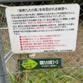 実際訪問したユーザーが直接撮影して投稿した公園篠栗九大の森の写真