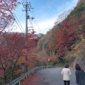 実際訪問したユーザーが直接撮影して投稿した西祖谷山村田ノ内滝 / 渓谷祖谷渓の写真