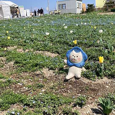 にてのさんが投稿した北港緑地植物園 / 樹木園のお店大阪まいしまシーサイドパーク/オオサカマイシマシーサイドパークの写真