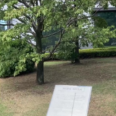実際訪問したユーザーが直接撮影して投稿した上野公園銅像東京国立博物館 町田久成初代館長像の写真