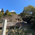 実際訪問したユーザーが直接撮影して投稿した早崎町島竹生島の写真