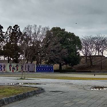 実際訪問したユーザーが直接撮影して投稿した東合川公園中干出公園の写真