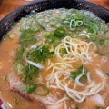 実際訪問したユーザーが直接撮影して投稿した向陵中町ラーメン / つけ麺一力の写真