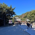 実際訪問したユーザーが直接撮影して投稿した雪ノ下神社鶴岡八幡宮 手水舎の写真