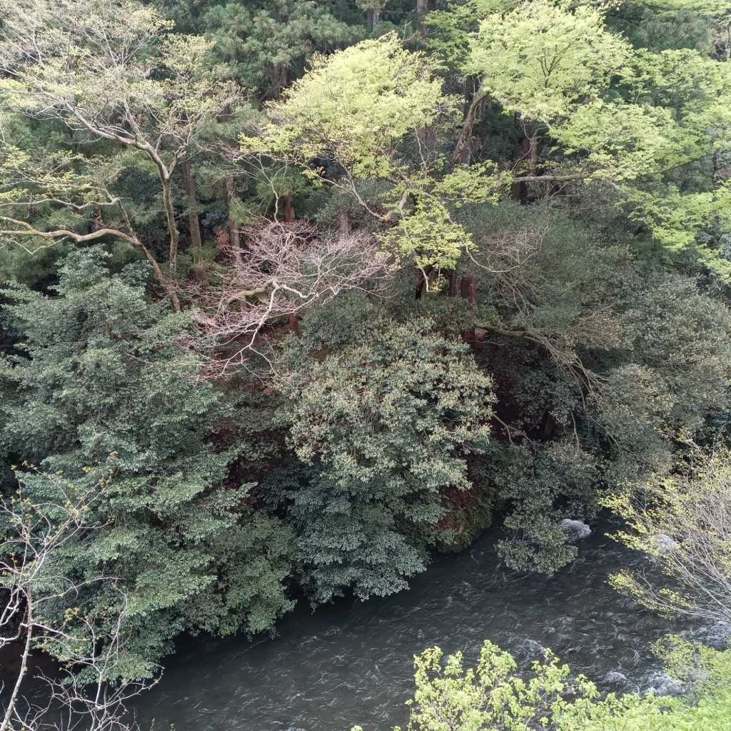 実際訪問したユーザーが直接撮影して投稿した山中温泉南町温泉旅館湯快リゾート よしのや依緑園の写真