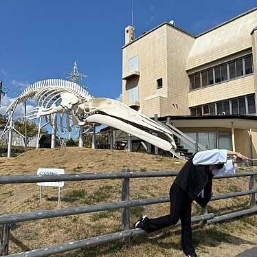 実際訪問したユーザーが直接撮影して投稿した和田町仁我浦イベントスペースクジラ広場 (シロナガスクジラ全身骨格)の写真