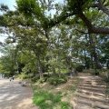 実際訪問したユーザーが直接撮影して投稿した南浦和公園舟山公園の写真