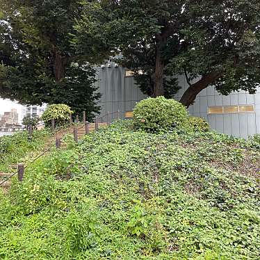 実際訪問したユーザーが直接撮影して投稿した大須公園那古野山古墳公園の写真