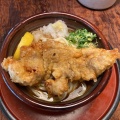 鶏天ぶっかけうどん - 実際訪問したユーザーが直接撮影して投稿したうどん讃岐の味 塩がま屋の写真のメニュー情報