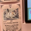 実際訪問したユーザーが直接撮影して投稿した稲岡テーマカフェ猫カフェ Puchi Marry イオンモールつくば店の写真