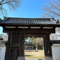 実際訪問したユーザーが直接撮影して投稿した膳所神社膳所神社の写真