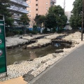 実際訪問したユーザーが直接撮影して投稿した東駒形公園大横川親水公園の写真