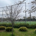 実際訪問したユーザーが直接撮影して投稿した駒沢公園スポーツ施設駒沢オリンピック公園総合運動場 補助競技場の写真