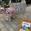 実際訪問したユーザーが直接撮影して投稿した士幌産地直売所道の駅 ピア21しほろ PIA21SHOPの写真