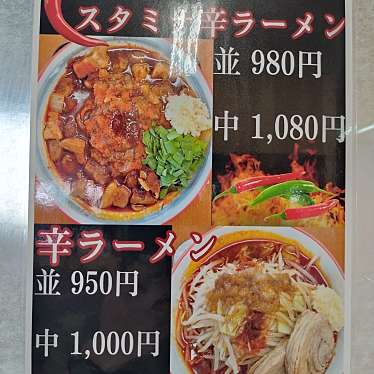 実際訪問したユーザーが直接撮影して投稿した大平町西水代ラーメン専門店向井屋の写真