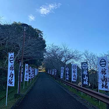 実際訪問したユーザーが直接撮影して投稿した館山城 / 城跡館山城の写真