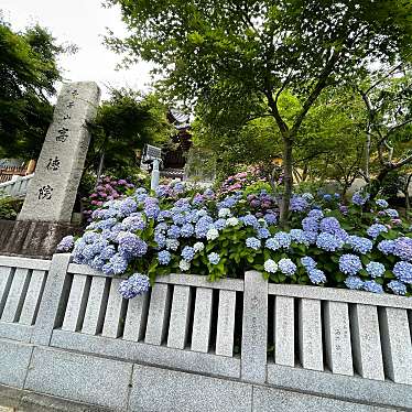 実際訪問したユーザーが直接撮影して投稿した栄町寺高徳院の写真