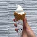 実際訪問したユーザーが直接撮影して投稿した野々島アイスクリームKumamoto milkの写真